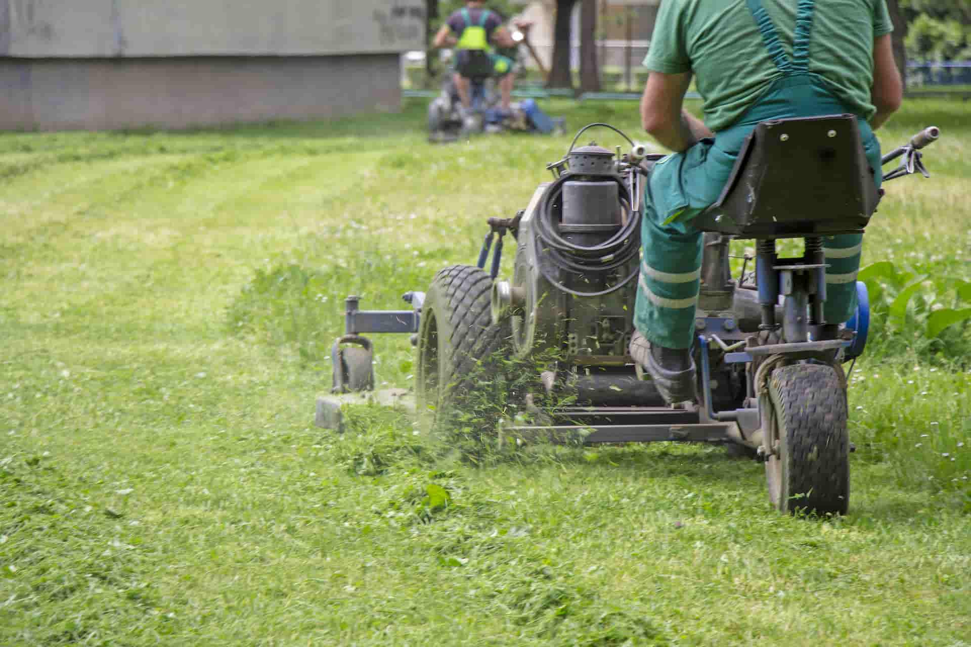 Lawn Care Background