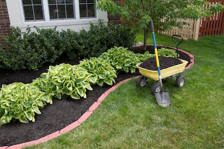 The vast benefits of mulch installation