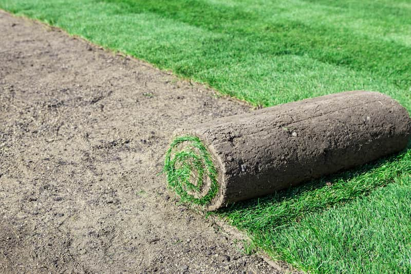 Sod Installation