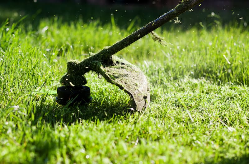 Lawn Care Tips