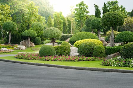 Commercial landscaping