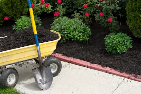 Mulch installation