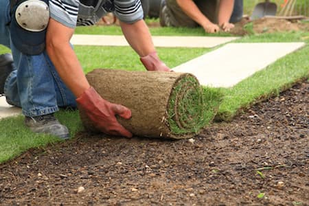 Sod installation